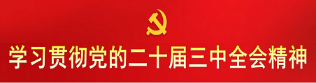 学习贯彻党的二十届三中全会精神